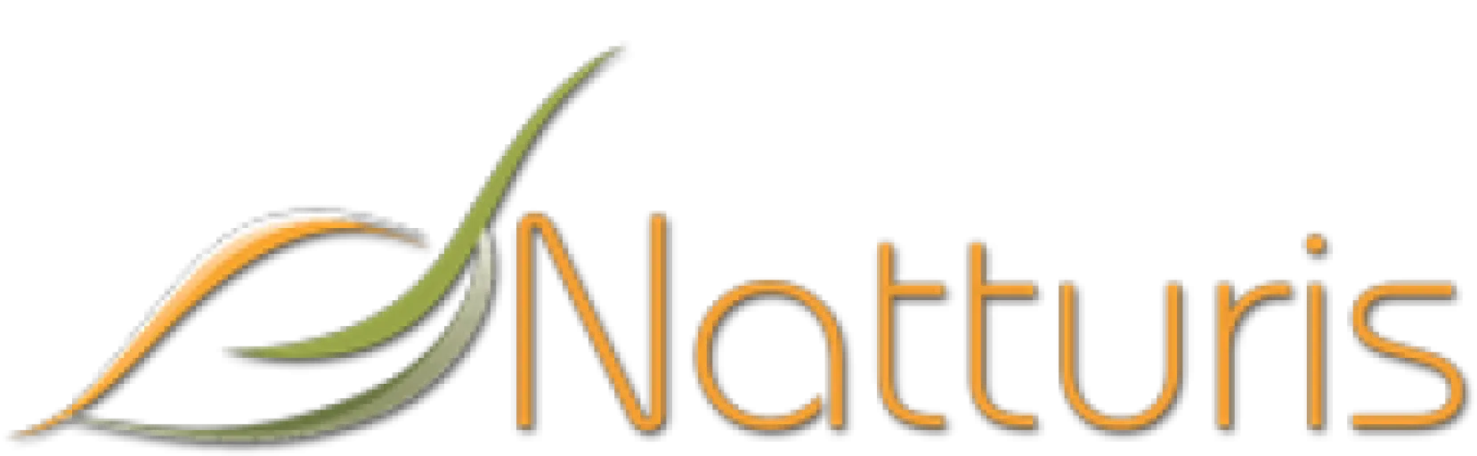 Logo Natturis - Consultoria Ambiental