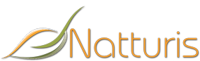 Logo Natturis - Consultoria Ambiental