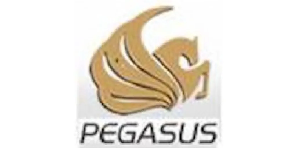 Logo Pegasus Aduaneira - Despachos Aduaneiros