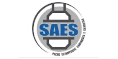 Logo Ft Saes - Peças para Caminhões e Carretas
