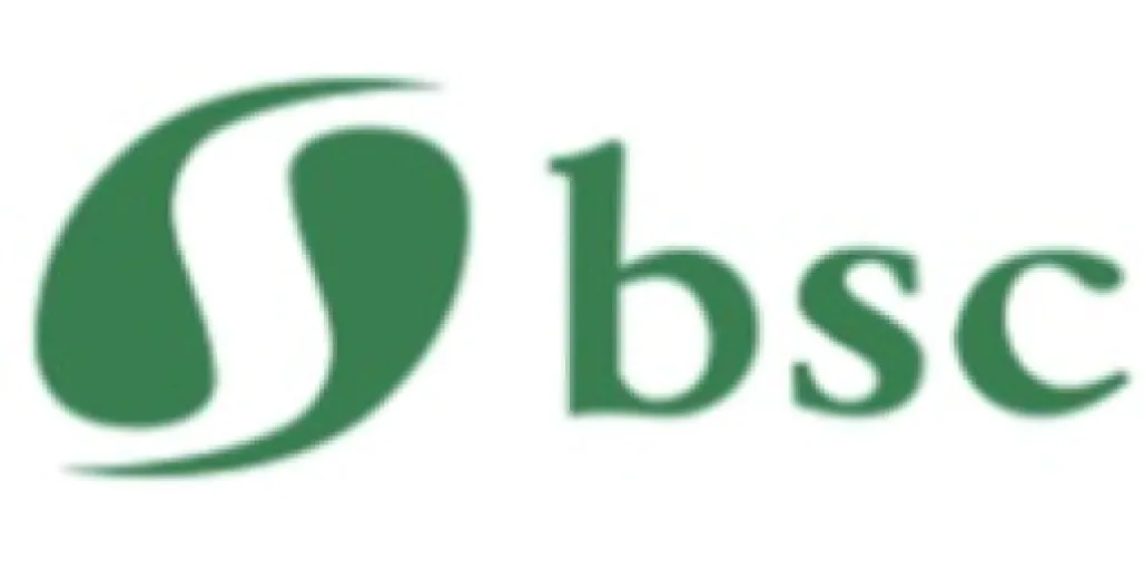 Logo Bsc Químicos