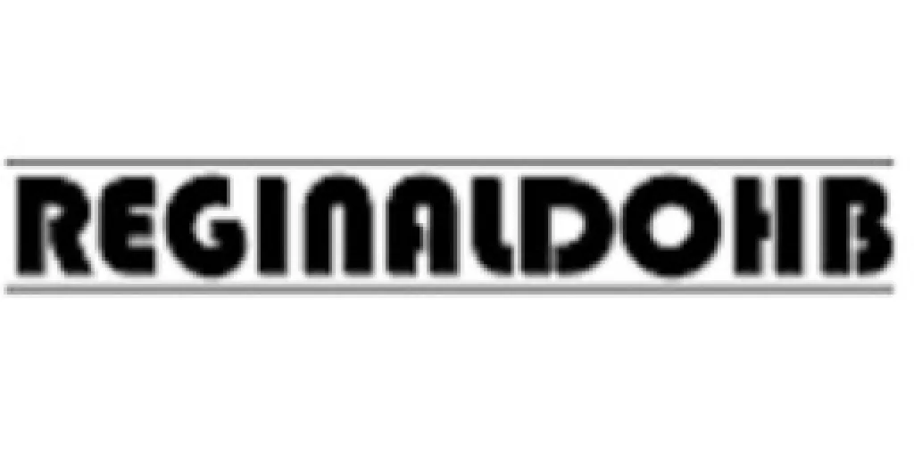 Logo Consultor Seo - Reginaldo Hb