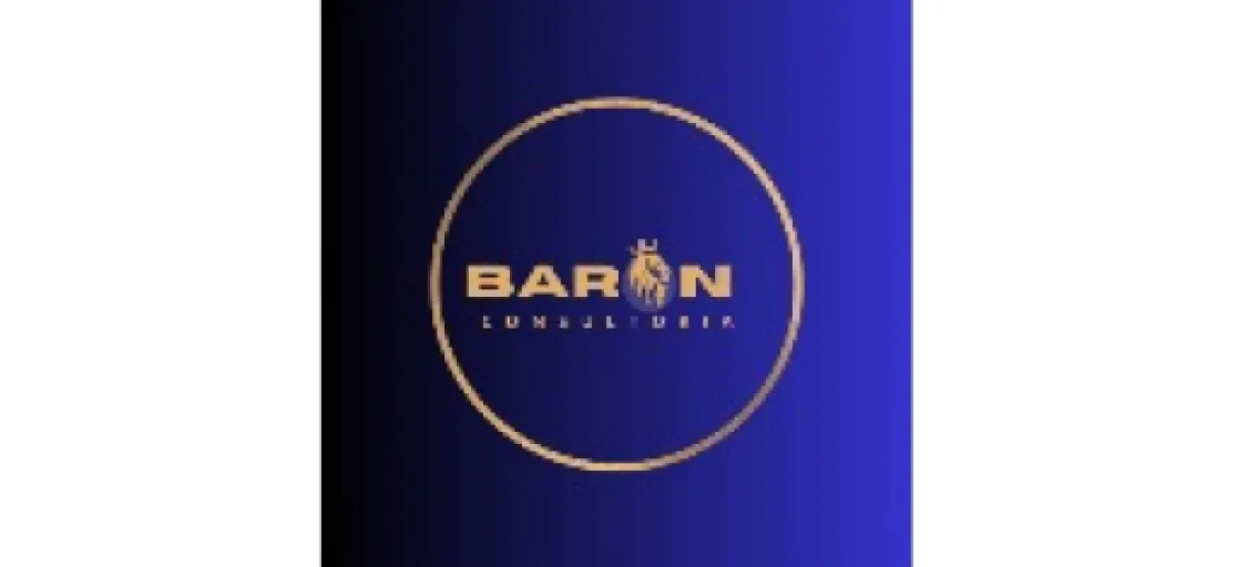 Logo Wa2 Baron Consultoria e-Commerce
