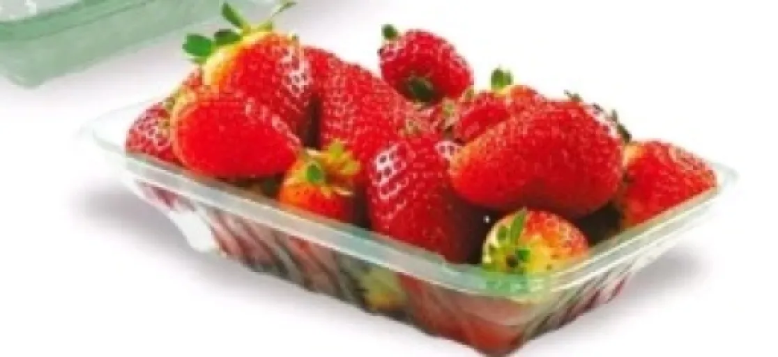 Logo Wa1 - Morangos Sc Leste