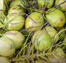 1981cf4a-ac36-4a34-9485-a0841e1eb05b