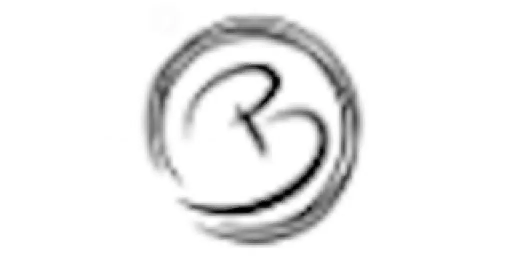 Logo Paulobordhin . Arte