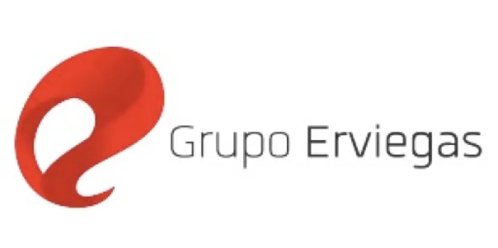 Logo Grupo Erviegas - Divisão Diagnósticos