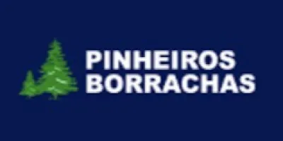 Logo Pinheiro Borrachas