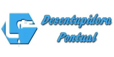 Logo Desentupidora Pontual