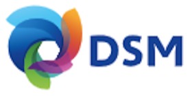 Logo Dsm South America