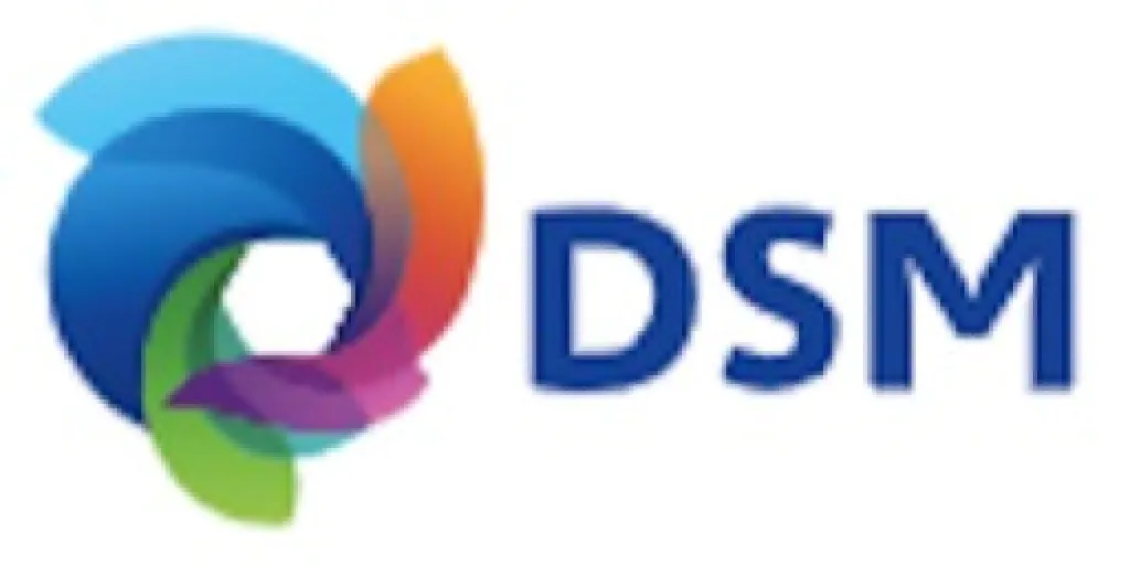 Logo Dsm South America