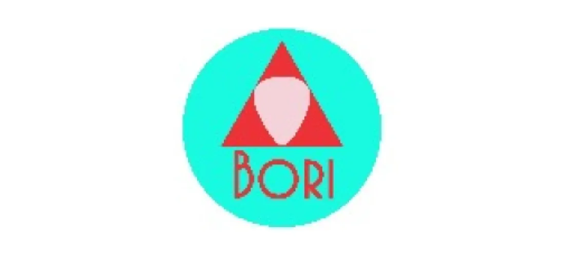 Logo Boriplast - Palhetas Musicais