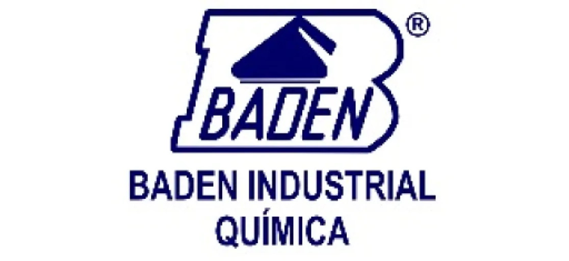 Logo Wa2 Baden Tintas