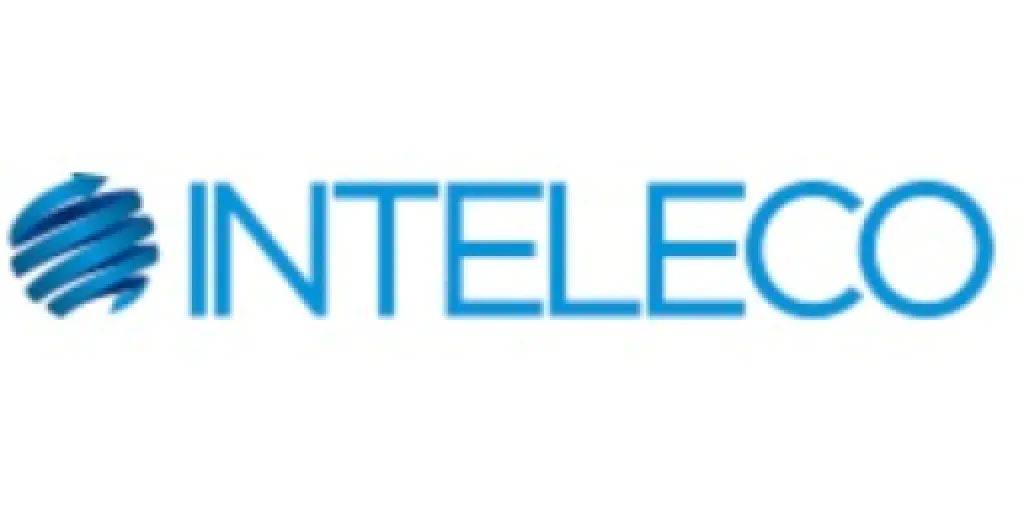 Logo Inteleco - Pesquisas e Inteligência de Mercado