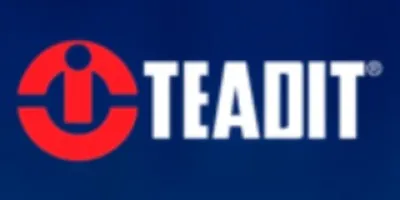 Logo Teadit - Vedando por um Amanhã Mais Verde e Seguro