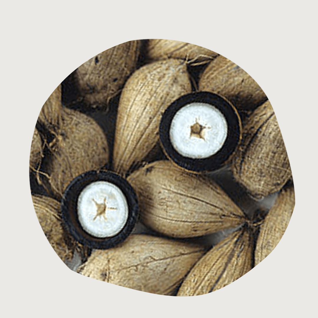 Manteiga de Murumuru