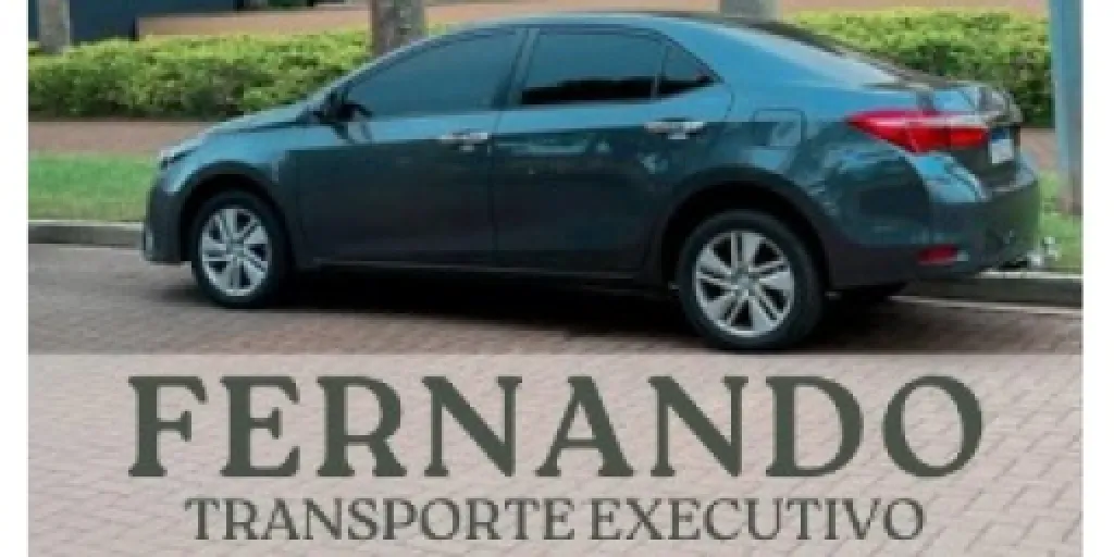 Logo Fernando - Transporte Executivo