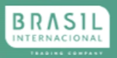 Logo Brasil Internacional Exportadora