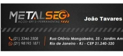 Logo Metaseg Brasil