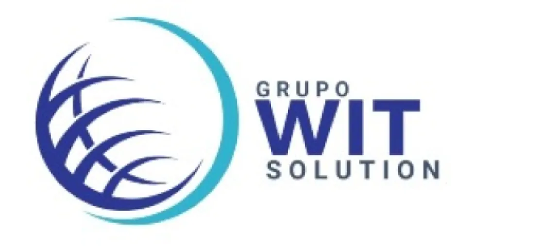 Logo Wit Solution
