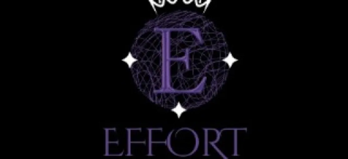 Logo Wa2 Effort Store