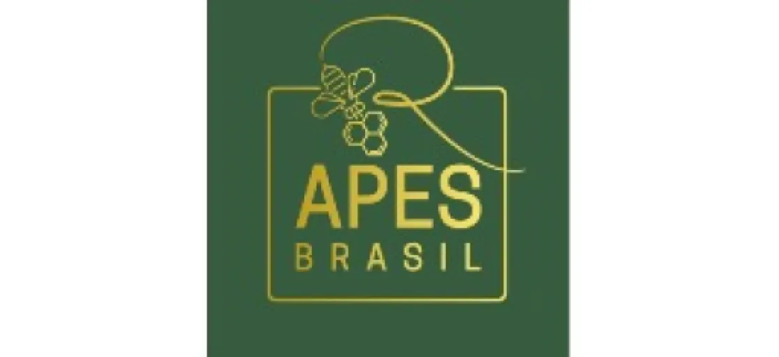 Logo Apes Brasil Lacres de Segurança