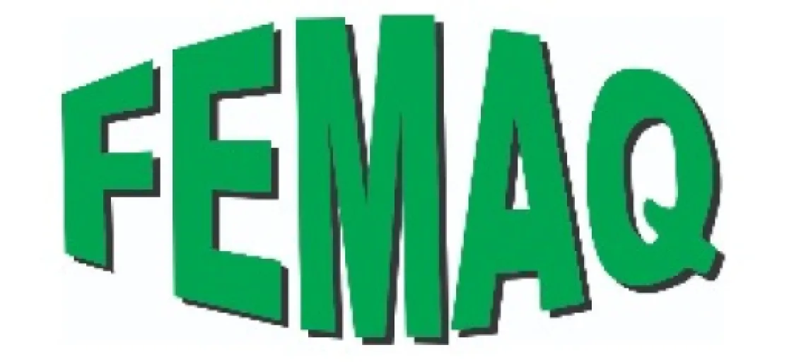 Logo Femaq - Locação de Máquinas e Ferramentas
