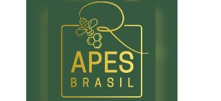 Logo Apes Brasil - Lacres de Segurança e Abraçadeiras Plásticas