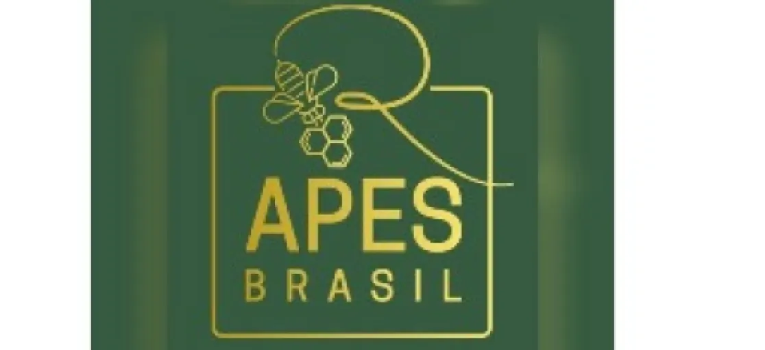 Logo Apes Brasil - Lacres de Segurança e Abraçadeiras Plásticas