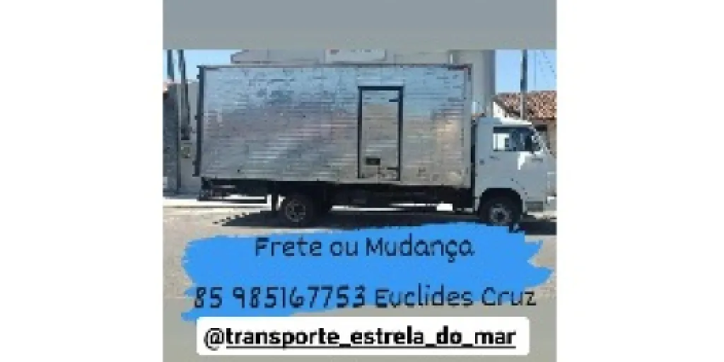 Logo Transporte Estrela do Mar - Mudanças e Cargas
