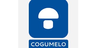 Logo Cogumelo - Indústria de Materiais Compósitos