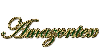 Logo Amazontex Representações