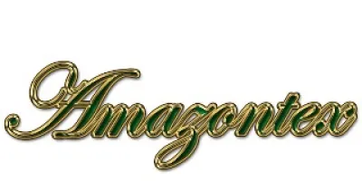 Logo Amazontex Representações
