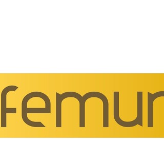 FEMUR 2024
