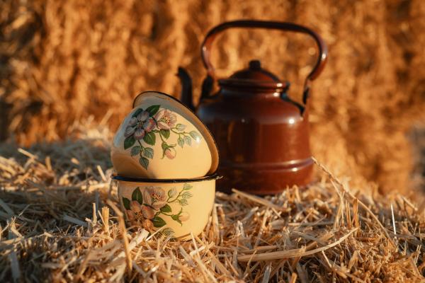 Compliance e Due Diligence na Seleção de Fornecedores