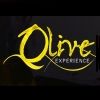 Olive Experience 2011