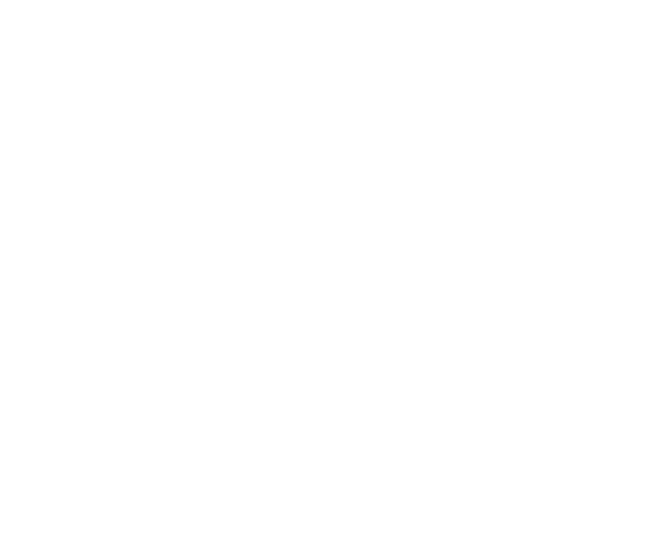 FIEE 2027